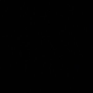 Meet your Posher, Kaitlyn